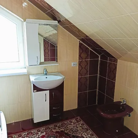 Апартаменты у потічка Изки